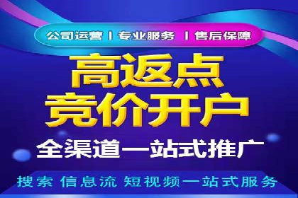 案例分析：SEM优化助力电商销量增长